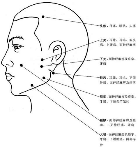 人中在哪裡|人中的准确位置及功效